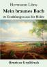 Mein braunes Buch (Großdruck)