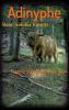 Adinyphe