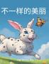不一样的美丽
