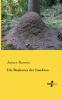 Die Baukunst der Insekten
