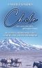 Chile - ein Land das dich gefangen nimmt