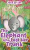 The Elephant Who Lost Her Trunk