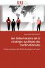 Les déterminants de la stratégie sociétale des multinationales
