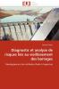 Diagnostic et analyse de risques liés au vieillissement des barrages