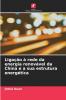 Ligação à rede da energia renovável da China e a sua estrutura energética