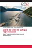 Ciclo de vida de Caligus rogercresseyi