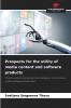 Prospects for the utility of media content and software products