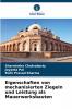 Eigenschaften von mechanisierten Ziegeln und Leistung als Mauerwerksbauten