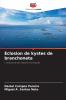 Éclosion de kystes de branchoneta