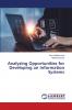 Analyzing Opportunities for Developing an Information Systems