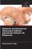 Badania porównawcze dotyczące odmian pieczarek białych (A. bisporus)