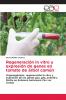 Regeneración in vitro y expresión de genes en tomate de árbol común