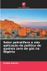 Setor petrolífero e não aplicação da política de queima zero de gás na Nigéria