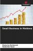 Small Business in Moldova