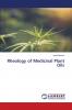 Rheology of Medicinal Plant Oils