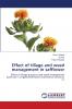 Effect of tillage and weed management in safflower