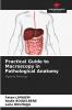 Practical Guide to Macroscopy in Pathological Anatomy