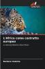 L'Africa come costrutto europeo