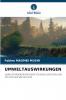UMWELTAUSWIRKUNGEN