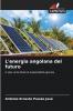 L'energia angolana del futuro