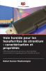 Voie humide pour les hexaferrites de strontium
