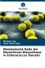 Metabolische Rolle der Menachinon-Biosynthese in Enterococcus faecalis