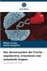 Das Immunsystem der Fische - angeborene erworbene und lymphoide Organe