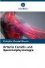 Arteria Carotis und Speichelphysiologie