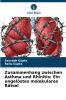 Zusammenhang zwischen Asthma und Rhinitis