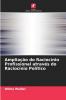 Ampliação do Raciocínio Profissional através do Raciocínio Político