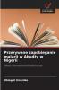 Przerywane zapobieganie malarii w Abudży w Nigerii