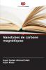 Nanotubes de carbone magnétiques