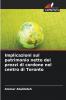 Implicazioni sul patrimonio netto dei prezzi di cordone nel centro di Toronto