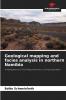 Geological mapping and facies analysis in northern Namibia