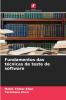 Fundamentos das técnicas de teste de software