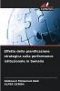 Effetto della pianificazione strategica sulla performance istituzionale in Somalia