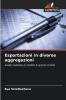 Esportazioni in diverse aggregazioni