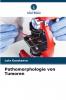 Pathomorphologie von Tumoren