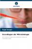 Grundlagen der Mikrobiologie
