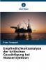 Empfindlichkeitsanalyse der kritischen Gassättigung bei Wasserinjektion