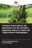 Culture intercalaire de bananiers et de certains légumes dans le cadre de l'agriculture biologique