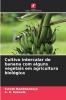 Cultivo intercalar de banana com alguns vegetais em agricultura biológica