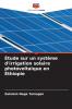 Étude sur un système d'irrigation solaire photovoltaïque en Éthiopie