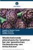 Wiederkehrende phänotypische Selektion bei der genetischen Verbesserung von Artischocken