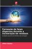 Formação de fases dispersas durante a incineração de resíduos