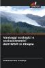 Vantaggi ecologici e socioeconomici dell'IWSM in Etiopia