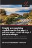 Studia przypadków i modelowanie korytarzy północnego centralnego i południowego