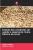 Estudo das condições de saúde e segurança numa fábrica de arroz