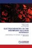 ELECTROCHEMISTRY OF THE MEMBRANE-SOLUTION INTERFACE