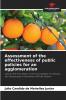 Assessment of the effectiveness of public policies for an agglomeration